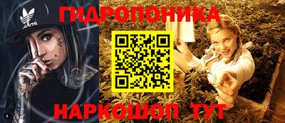 гидра Комсомольск-на-Амуре