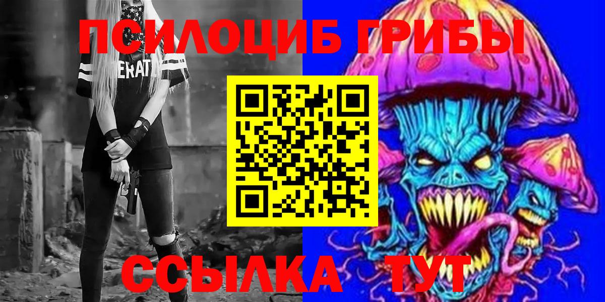 Псилоцибиновые грибы Psilocybine cubensis Киреевск