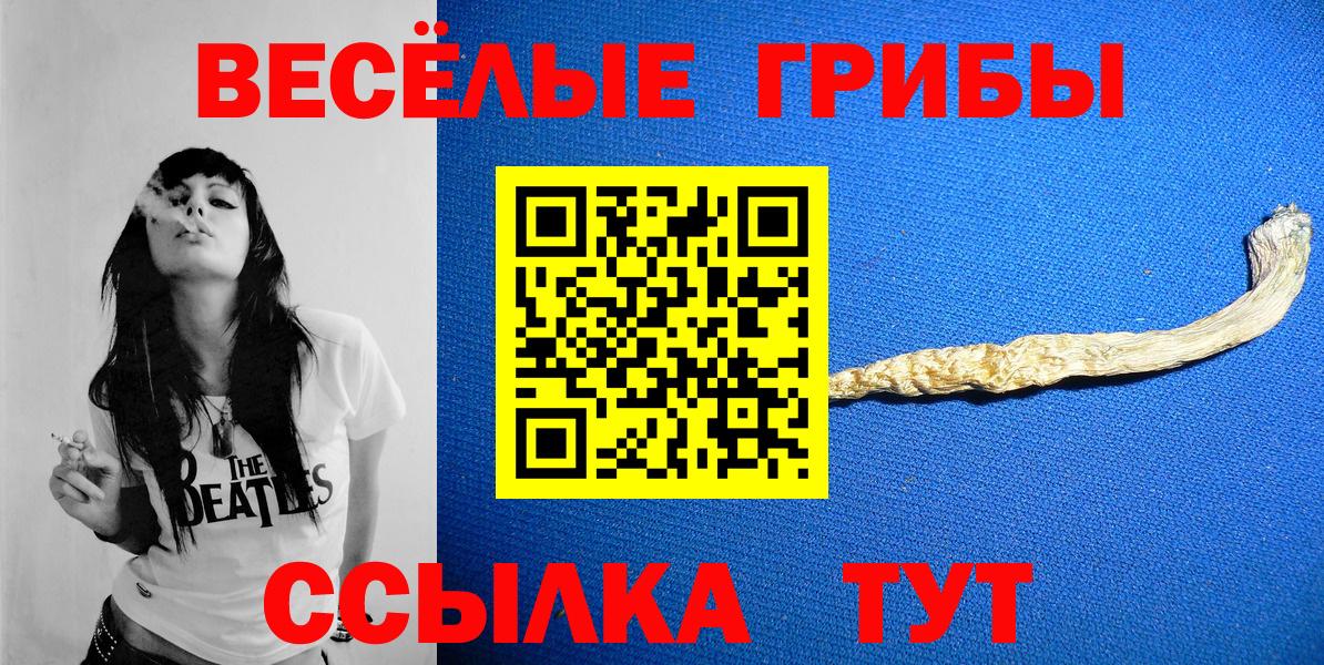 Галлюциногенные грибы GOLDEN TEACHER  Вход с VPN  даркнет сайт  Псилоцибиновые грибы MAGIC MUSHROOMS  Киреевск 