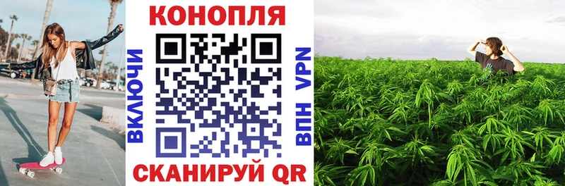 Марихуана планчик  где можно купить   гидра ССЫЛКА  Киреевск 